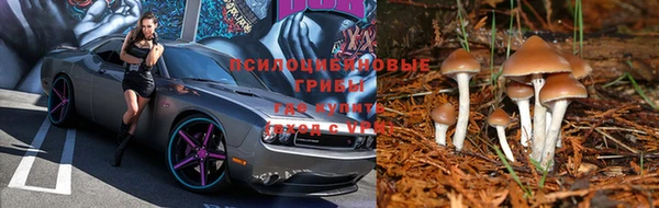 меф Пересвет